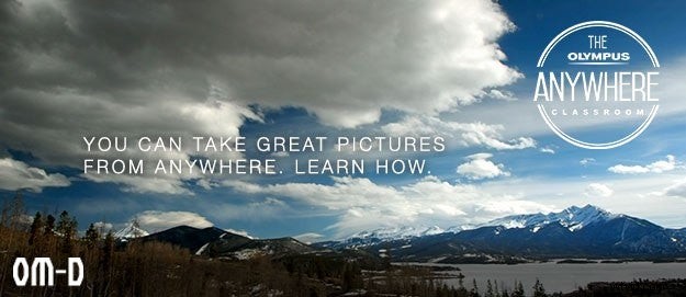 Expert Wildlife Photography Tips from a World-Class Pro | Olympus Anywhere Classroom