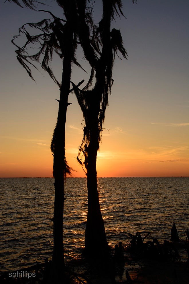 Mentor Series: Best of Louisiana 2017 Photo Gallery