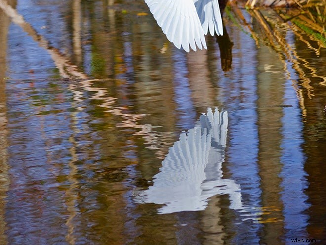 Mentor Series: Best of Louisiana 2017 Photo Gallery