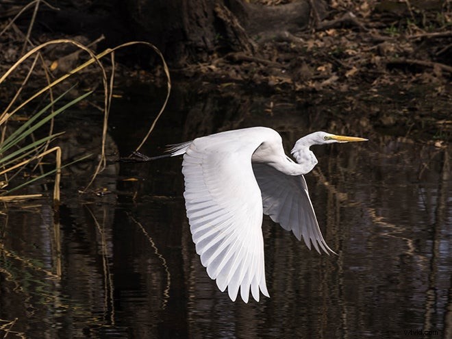 Mentor Series: Best of Louisiana 2017 Photo Gallery
