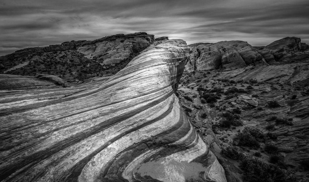 Mentor Series: Best of 2016 Photography Highlights from Tanzania Trek