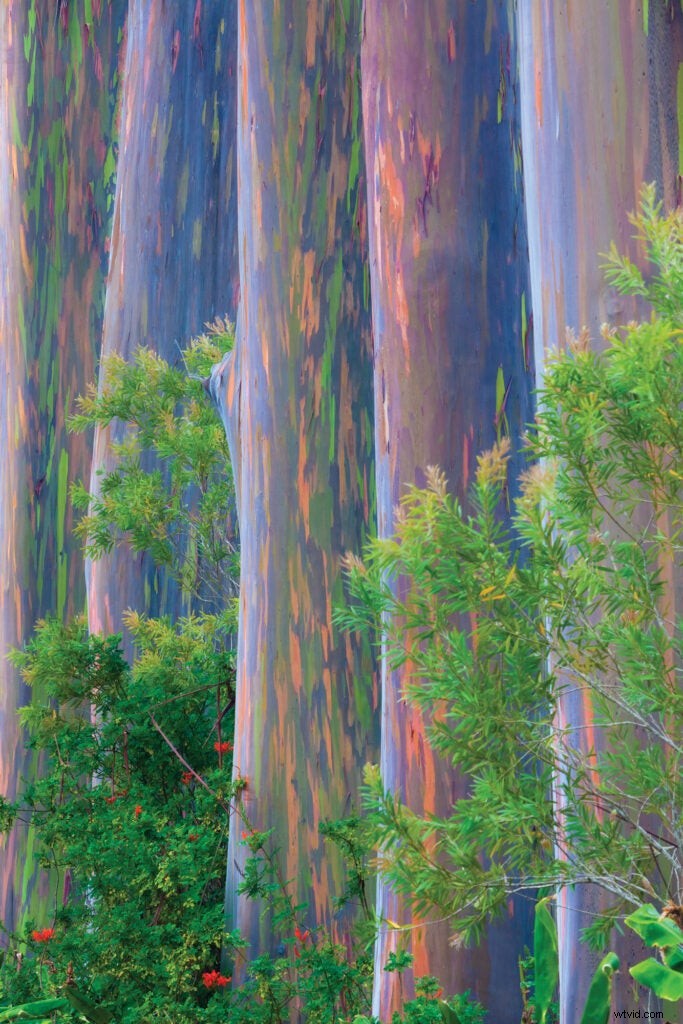 Ultimate Hawaii Photography Guide for Traveling Photographers