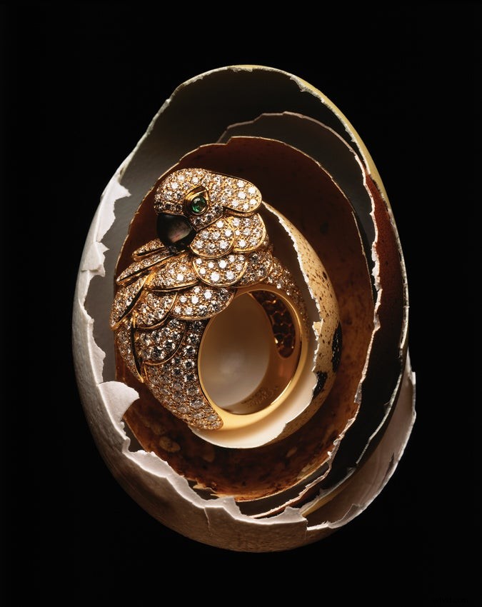 Master Professional Luxury Goods Photography: Pro Techniques Revealed