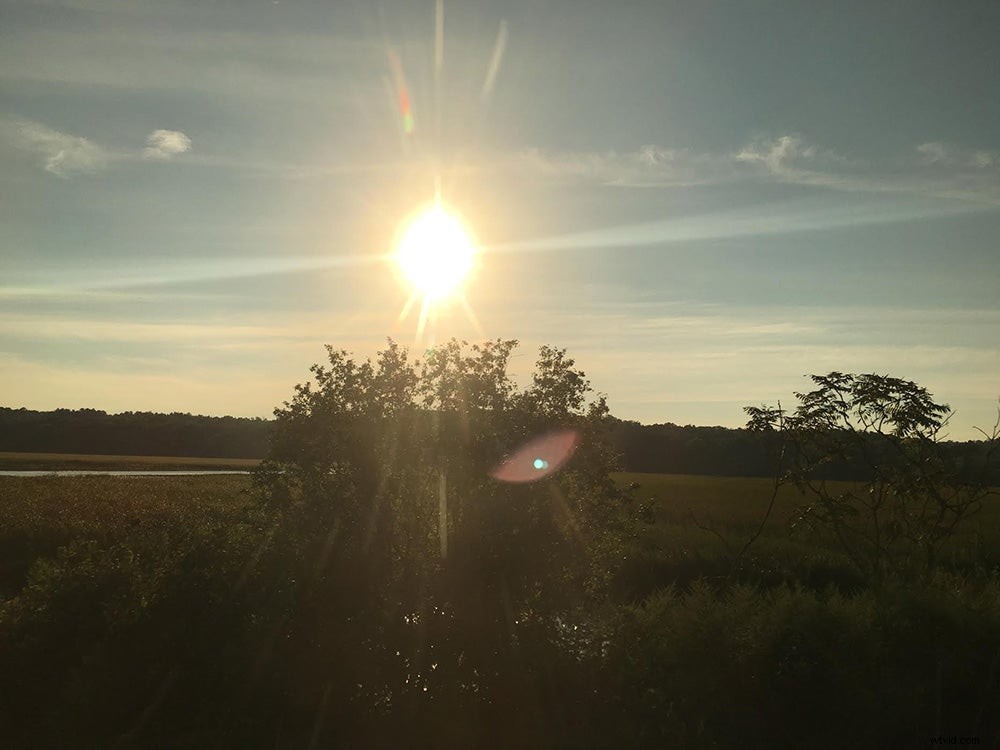 7 Expert Tips for Capturing Stunning Nature Photos with Your Smartphone