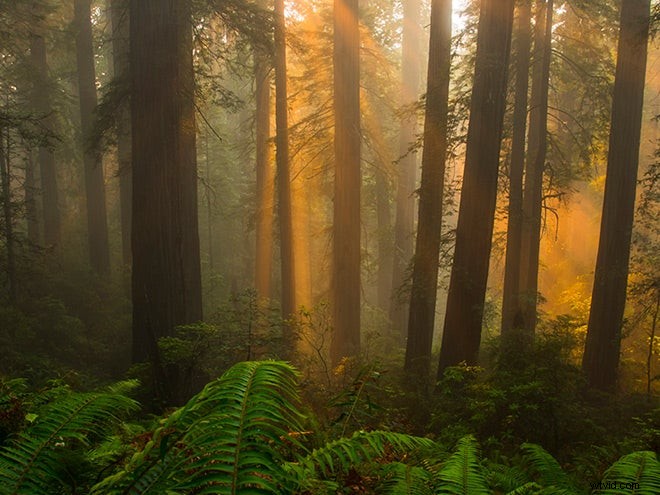 Top 15 National Parks for Photographers: Capture Epic Landscapes