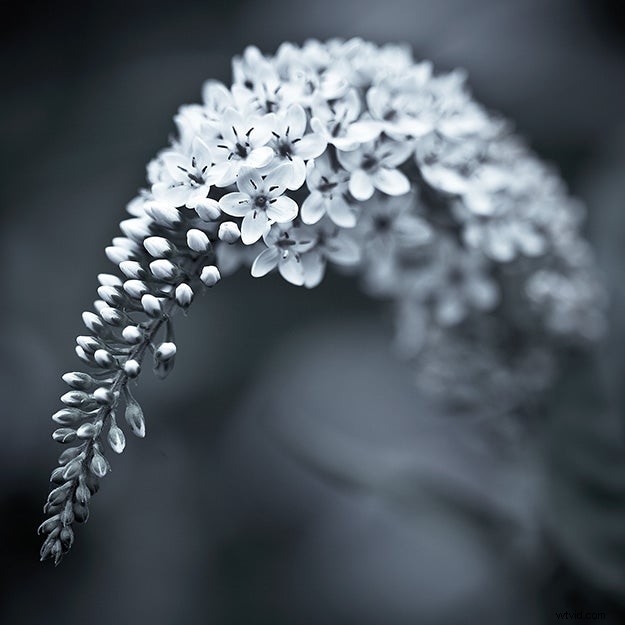 Expert Tips for Capturing Stunning, Inspired Nature Photography