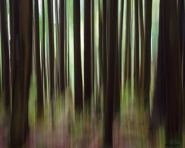 Expert Tips for Capturing Stunning, Inspired Nature Photography