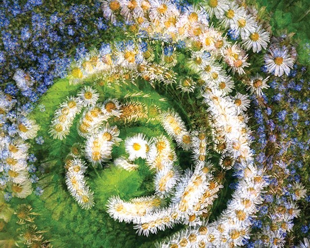 Expert Tips for Capturing Stunning, Inspired Nature Photography