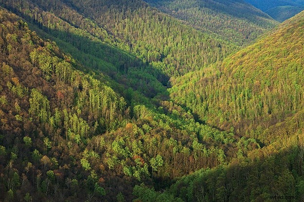 Expert Tips for Capturing Stunning, Inspired Nature Photography