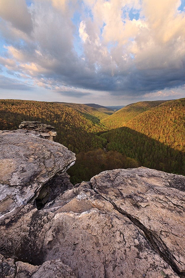 Expert Tips for Capturing Stunning, Inspired Nature Photography
