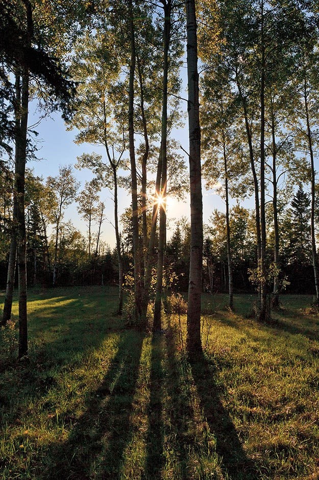 Expert Tips for Capturing Stunning, Inspired Nature Photography