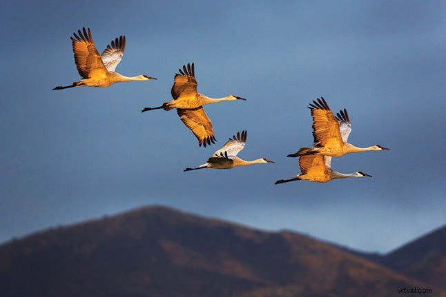 How to Spot Perfect Light for Stunning Nature Photography