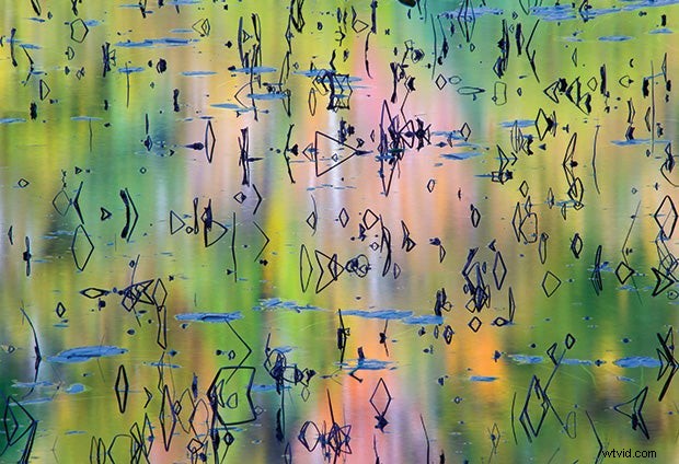 5 Essential Composition Tips to Elevate Your Nature Photography