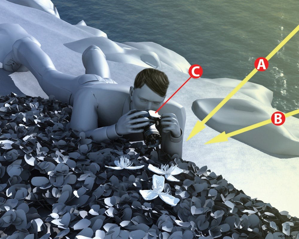 Master Direct Sunlight: Pro Tips for Stunning Outdoor Photos