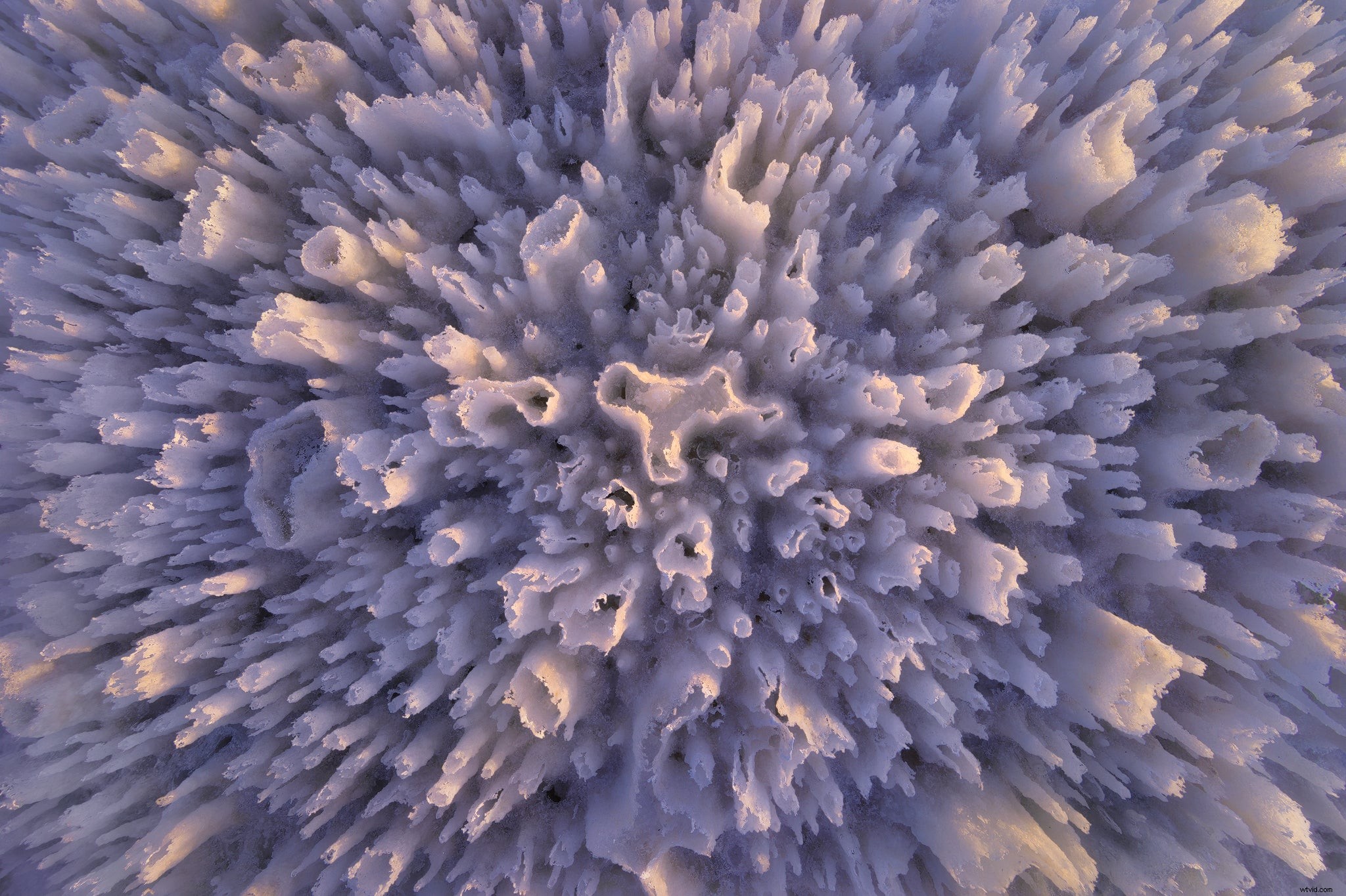 How Erin Babnik Captures Stunning Landscape Photos Sustainably – Leave No Trace Mastery