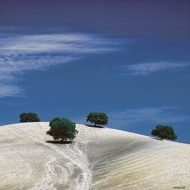 Expert Tips: Mastering Trees for Dramatic Landscape Photography