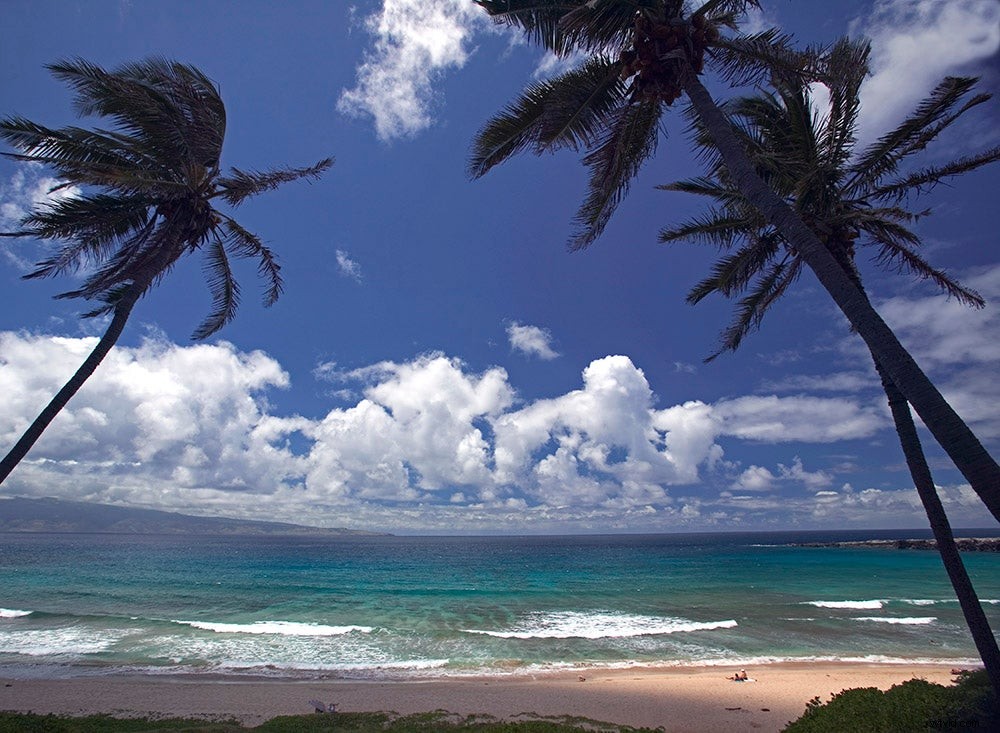 Expert Tips: Capture Stunning Beach Landscape Photos Like a Pro