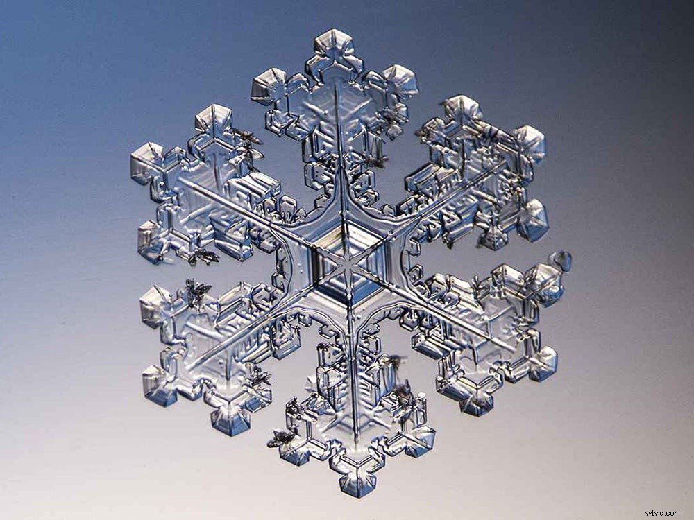 Master Microscopic Photography: Expert Guide from RIT Professor Michael Peres