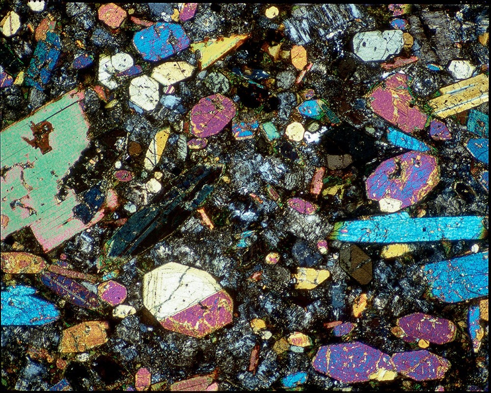 Master Microscopic Photography: Expert Guide from RIT Professor Michael Peres