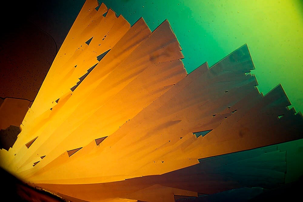 Master Microscopic Photography: Expert Guide from RIT Professor Michael Peres