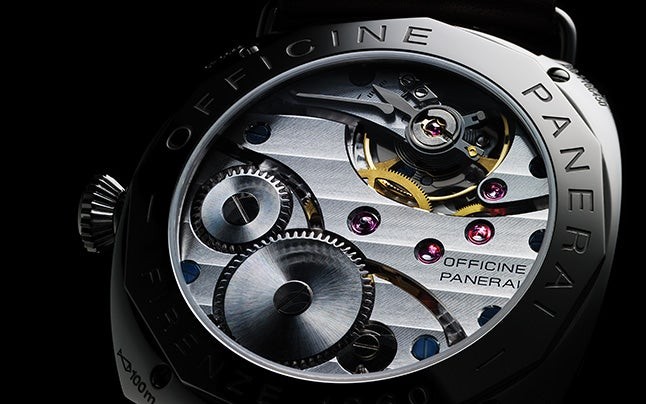 Master Macro Photography: Discover the Stunning World of Tiny Subjects