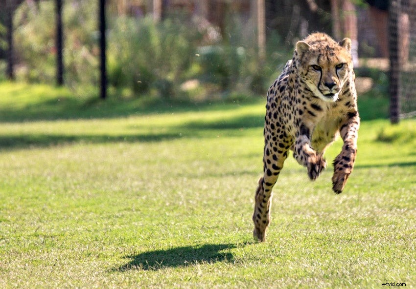 10 Photography Rules You Should Break for Stunning Results