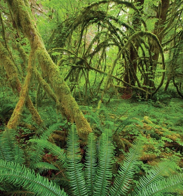 10 Photography Rules You Should Break for Stunning Results