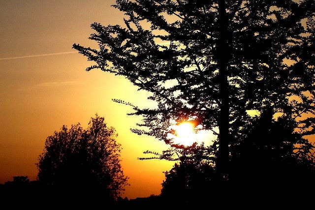 10 Photography Rules You Should Break for Stunning Results