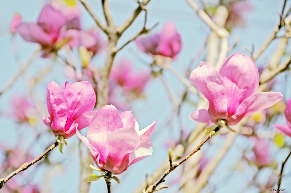 10 Photography Rules You Should Break for Stunning Results