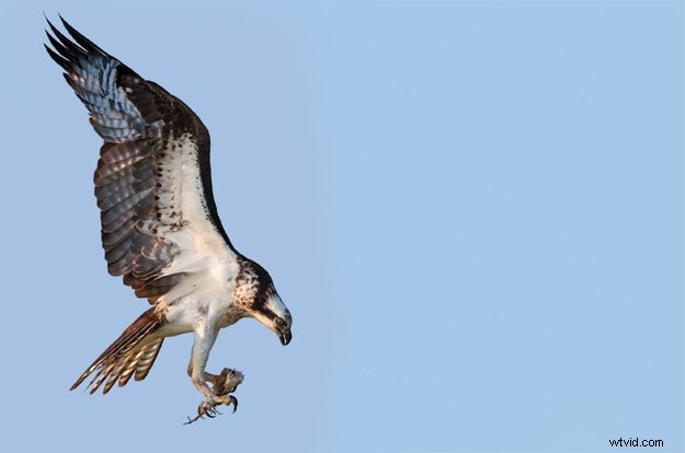 10 Photography Rules You Should Break for Stunning Results