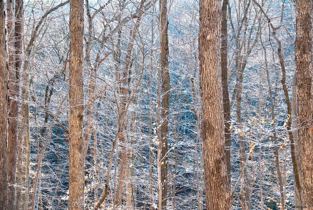 10 Photography Rules You Should Break for Stunning Results