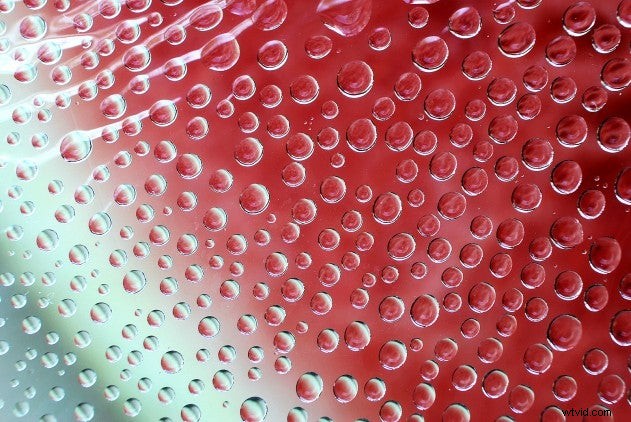 October Photo Challenge Finalists: Stunning Food Photography Masterpieces