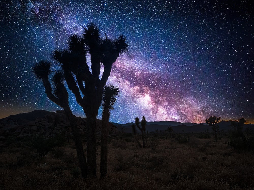 Capture Stunning Stars: Elevate Your Photography in America s Wilderness and National Parks