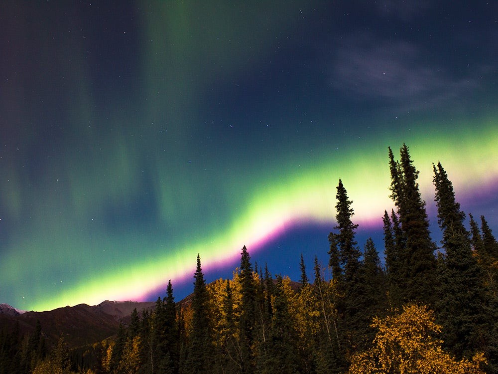 Capture Stunning Stars: Elevate Your Photography in America s Wilderness and National Parks