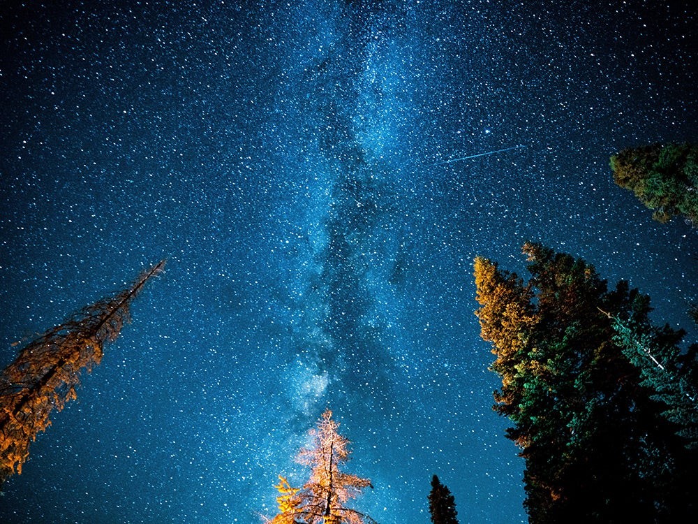 Capture Stunning Stars: Elevate Your Photography in America s Wilderness and National Parks