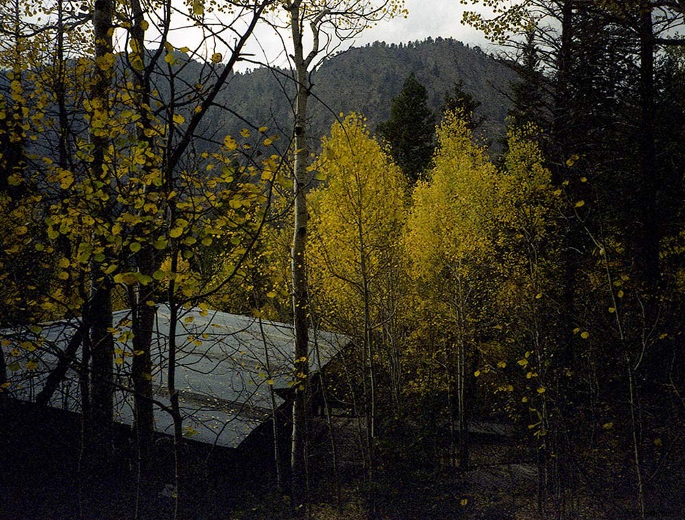 Ultimate Guide to Shooting Expired Film: Expert Tips for Stunning Results