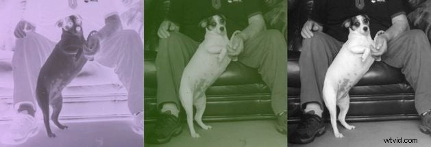 How to Scan Film Negatives with a Standard Flatbed Scanner: Easy DIY Guide