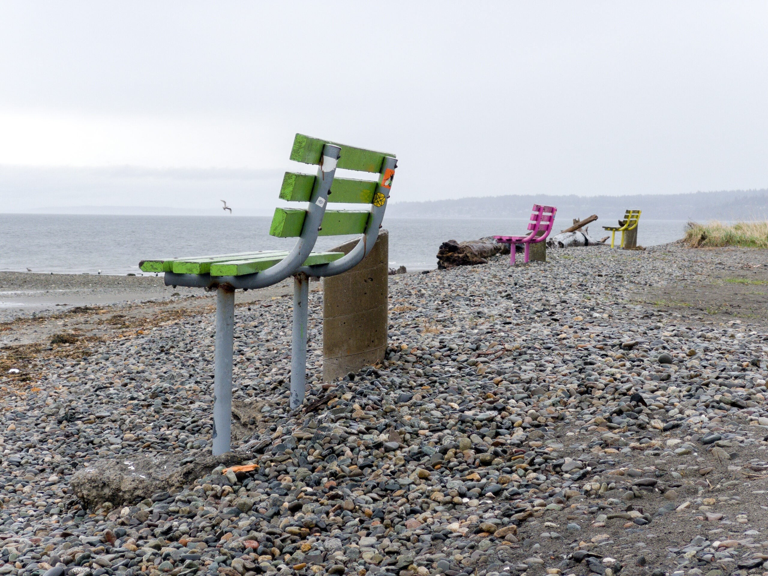 Master Your iPhone Camera: Outsmart Overzealous AI for Authentic Photos