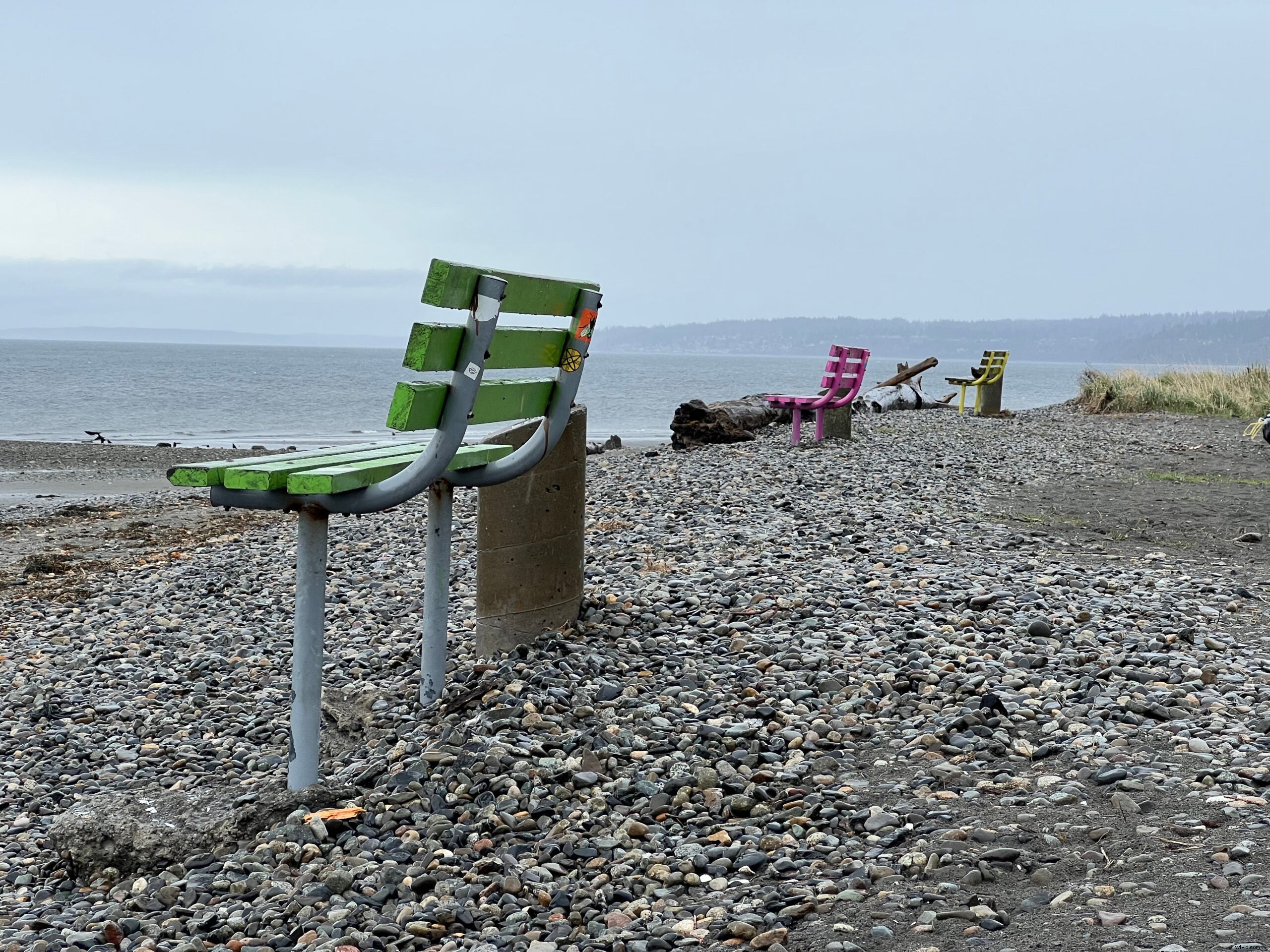 Master Your iPhone Camera: Outsmart Overzealous AI for Authentic Photos