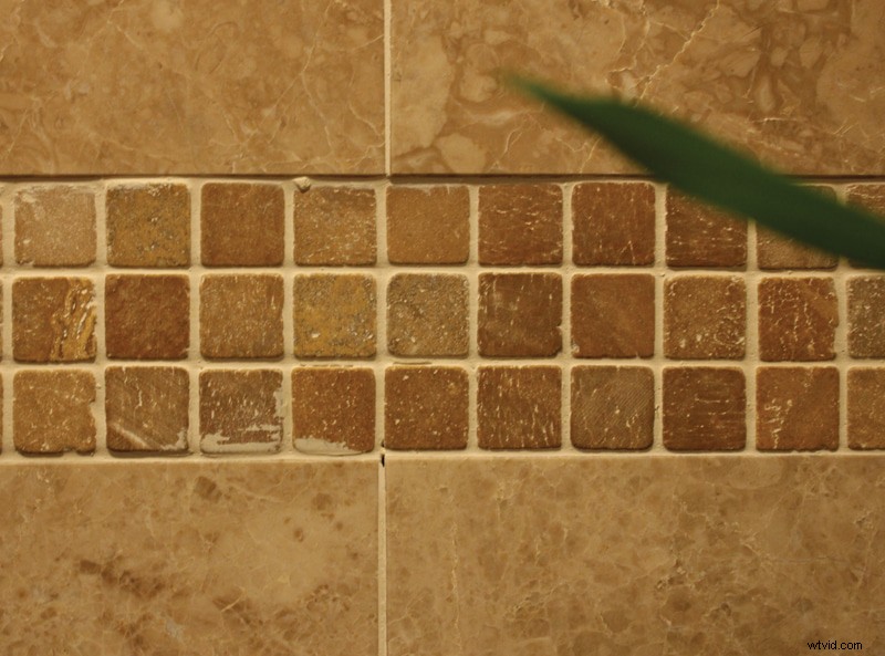 Understanding Lens Anatomy: Focal Length, Aperture, Sharpness & More