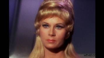 Complete Guide to Lens Filters for Video Production and Photography