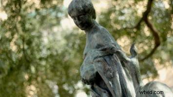 Top 10 Vintage Lenses to Elevate Your Photography Kit: In-Depth Review