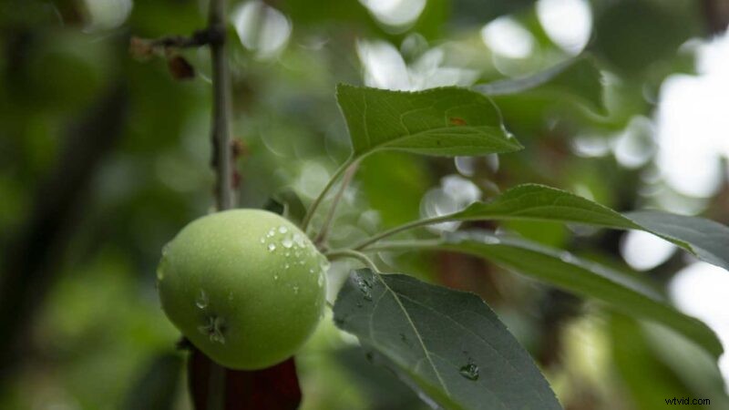 Master the Exposure Triangle: Essential Guide to Aperture, Shutter Speed & ISO