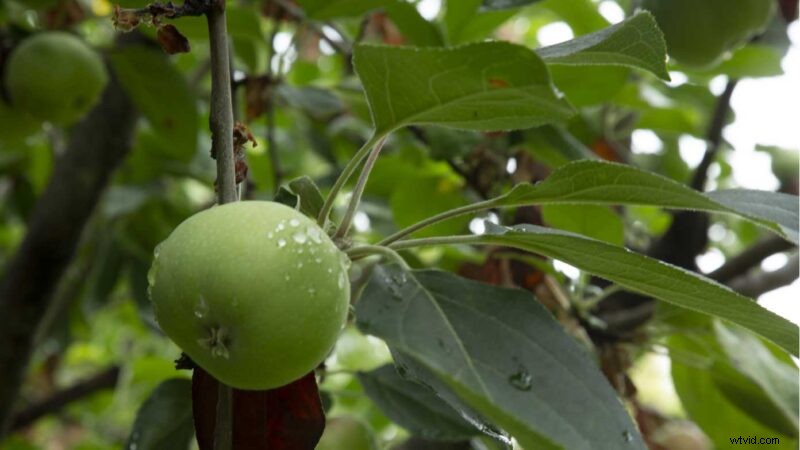 Master the Exposure Triangle: Essential Guide to Aperture, Shutter Speed & ISO