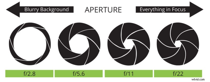 Master the Exposure Triangle: Essential Guide to Aperture, Shutter Speed & ISO