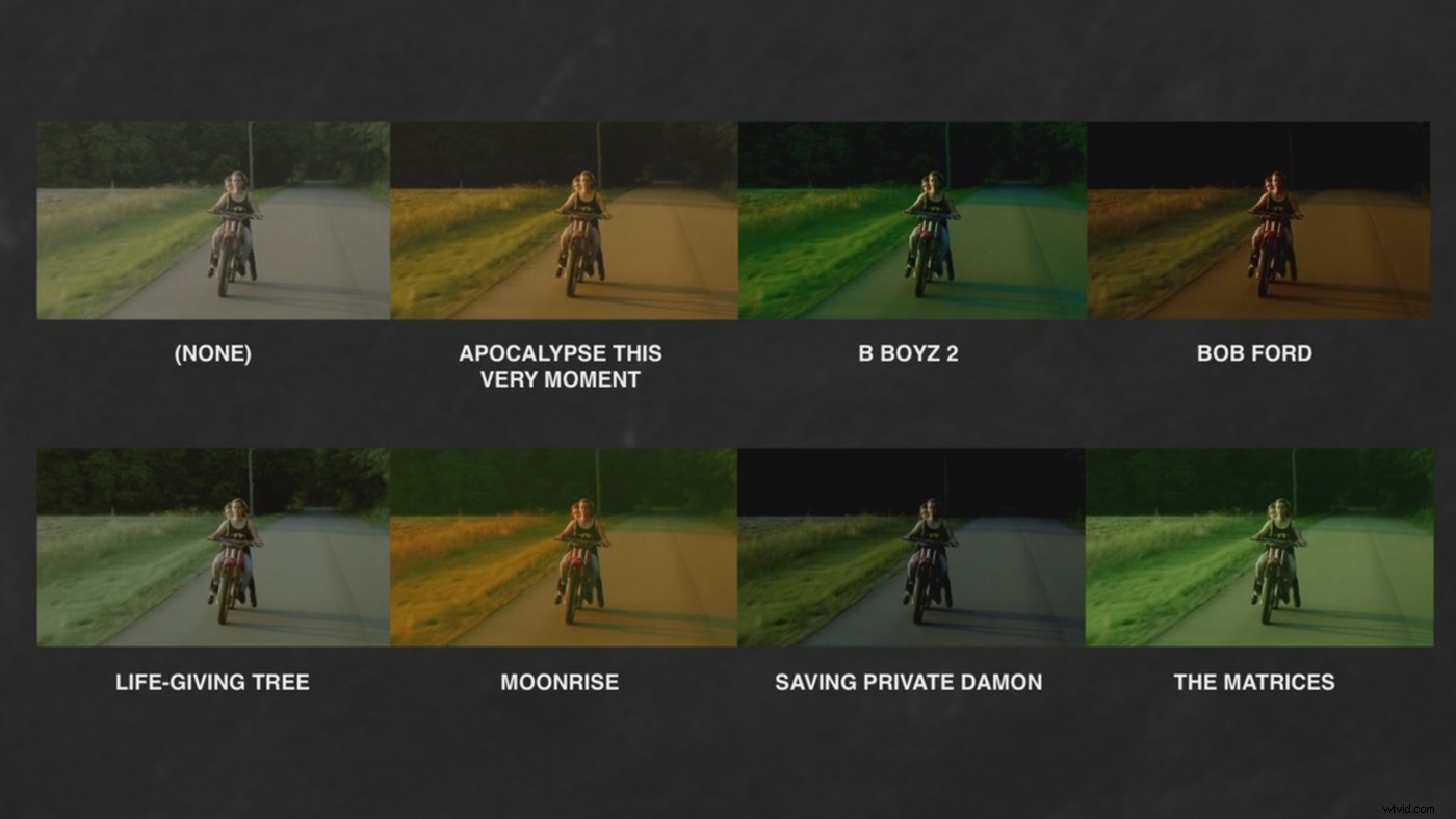 Master Log Profiles: 5 Expert Tips for Professional Video Shooting