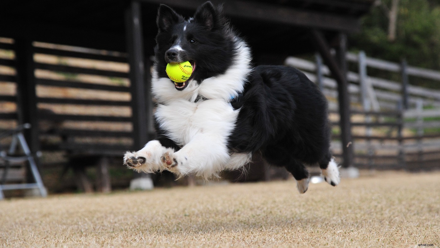 Master Slow Motion: Choose the Perfect Frame Rate for Stunning Sequences