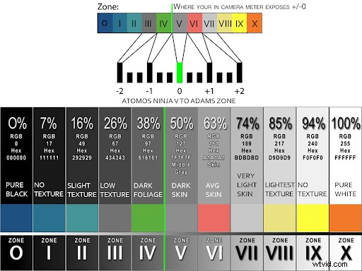 Master False Color: Expert Guide to Perfect Exposures in Your Next Project
