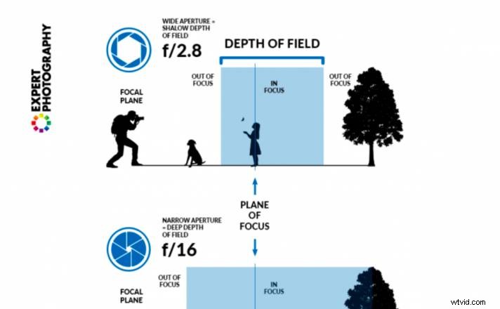 Mastering Depth of Field: The Ultimate Photography Guide