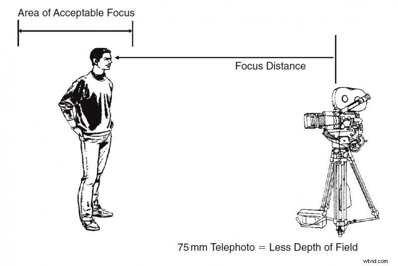 Mastering Depth of Field: The Ultimate Photography Guide